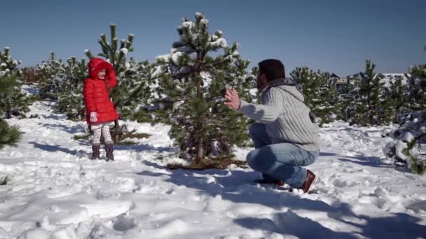 Liten flicka med pappa leker med snöbollar — Stockvideo