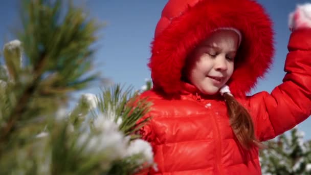 Menina brincando com bolas de neve — Vídeo de Stock