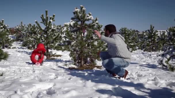 Kleines Mädchen mit Vater spielt mit Schneebällen — Stockvideo