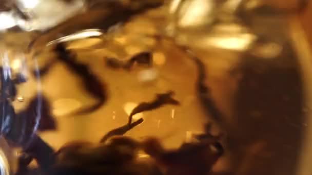 Wasser aus nächster Nähe. Tee im Glasbecher aufbrühen. — Stockvideo