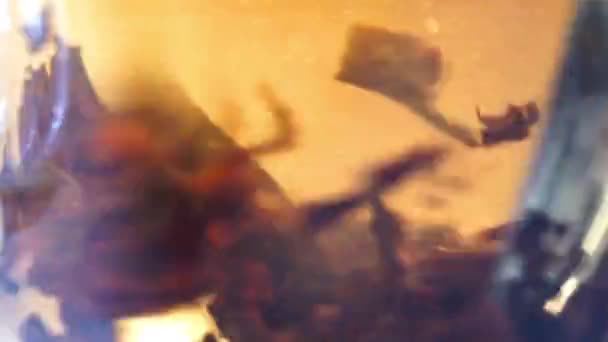 Fermer en versant de l'eau. Thé infusé dans une tasse en verre .