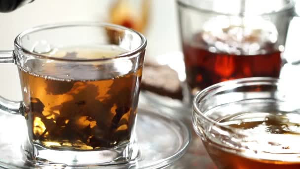 Brew tea in a beautiful glass cup — Stock Video