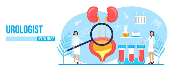 Urologis, konsep nephropathy vector. Dokter kecil merawat ginjal. Penyakit Pyelonephritis dan batu ginjal juga terlihat. Ilustrasi kegagalan ginjal untuk situs web - Stok Vektor