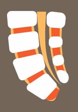 Omurga ve insan iskeleti gösteriliyor. Omurga ağrısı, problemler, skolyoz, yaralanma, kırık, patoloji ve düzensizlikler kılavuzu