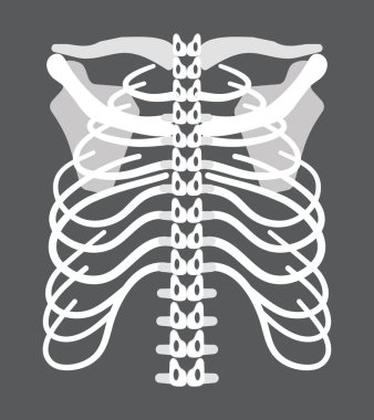 İniş sayfası için radyografinin iskelet simgesi ve x-ray konsept vektörü. Travma, acı, osteoporoz çizimi.
