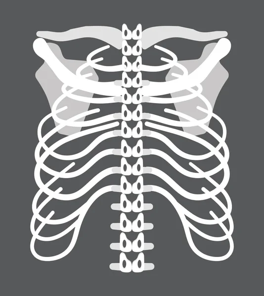 Esqueleto Icono Radiografía Vector Concepto Rayos Para Página Destino Trauma — Vector de stock