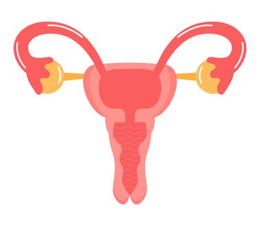 Rahim simgesi vektörü. İç kadın organı. Dünya menopoz günü, endometriyozis illüstrasyonu. Web sitesi için uterin simgesi.