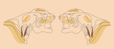 Kaplan Çin 'in yeni yıl vektörü aralıksız, çizgi sanatı tarzında. 2022 yılının bohem tarzında el çizimi Asyalı sembolü. Arka planda basit bir vahşi kedi.