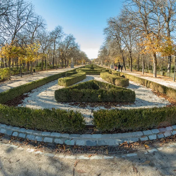 Coloridos Árboles Otoñales Con Hojas Amarillas Parque Del Retiro Madrid — Foto de Stock