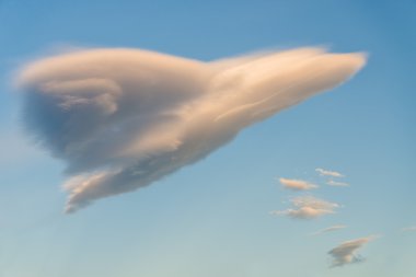 Beautifuly lid cloud is shape of bird, plane. clipart