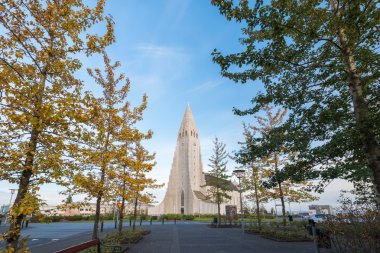 Doğal görünümünü tanımlıkHallgrimskirkja, Reykjavik, İzlanda.