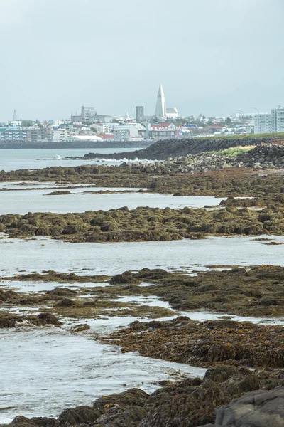 Küste von Reykjavik mit Hallgrimskirkja Kirche in der Ferne, Island. — Stockfoto