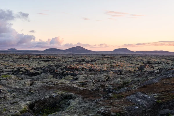 Evening view of lava field, Iceland. — Stock Photo, Image