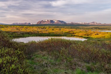 Thingvellir Milli Parkı, İzlanda.