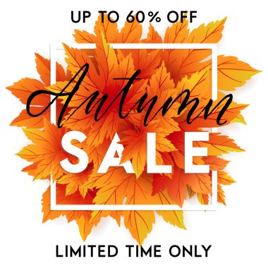 sonbahar özel satış