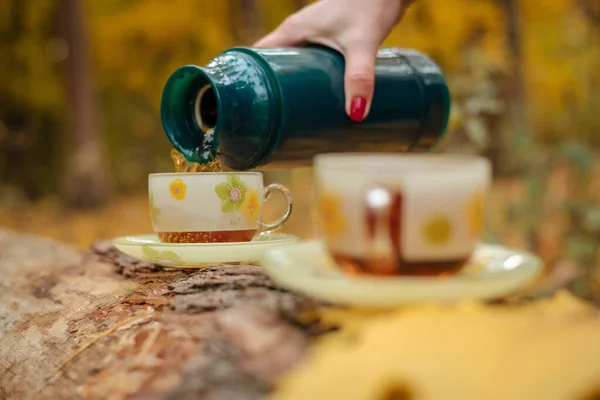 Sonbaharda tatilde ormanda bir termostan bir fincan sıcak çay içilir. Kadın elleri yakın plan..