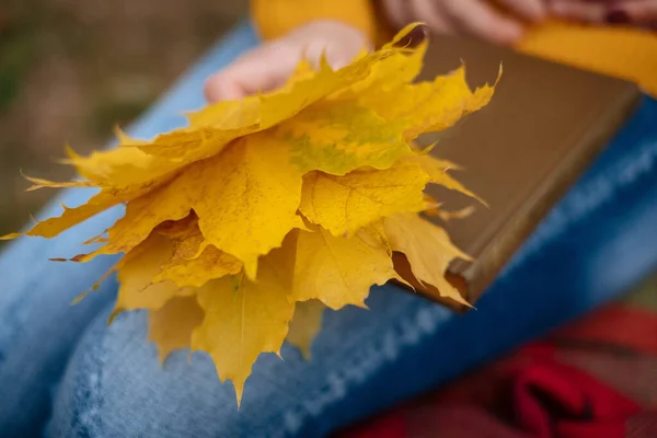 Couple on vacation with a book in the forest in autumn. Book, yellow leaves close-up. Love. — Stock Photo, Image