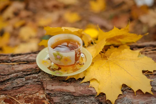 Sonbaharda ormanda, sarı yapraklı bir fincan sıcak çay içeceğim..
