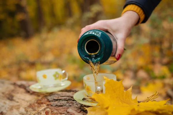 Sonbaharda tatilde ormandaki termostan bir fincan sıcak çay.
