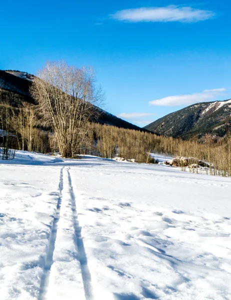 Ski Tracks verleidde op een mooie winterdag — Stockfoto