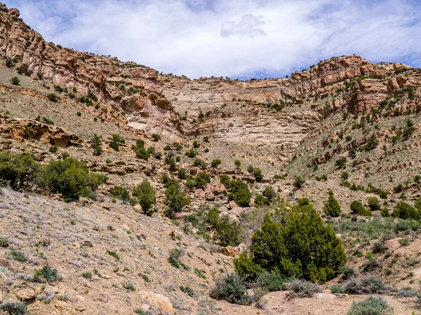 Circo de roca roja en el desierto — Foto de Stock