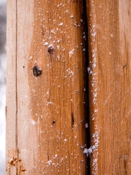 Dikey Closeup kar silkeledi günlüğü — Stok fotoğraf