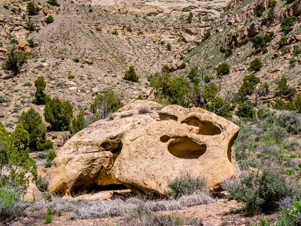 Enorme roca en alto desierto con agujeros — Foto de Stock