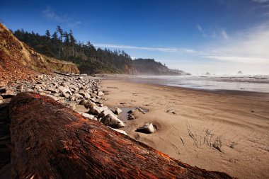 Oregon 'daki Ecola State Park' taki Indian Beach 'in zemin katı manzaralı ön planda büyük bir kütük var..