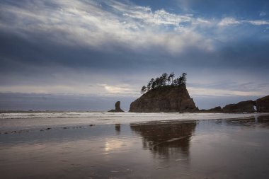 La Push, Washington 'daki 2. Plaj' da kumlara yansıyan deniz yığını..