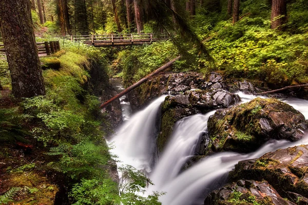 Vandfald Ved Sol Duc Falls Den Olympiske Nationalpark Washington State - Stock-foto