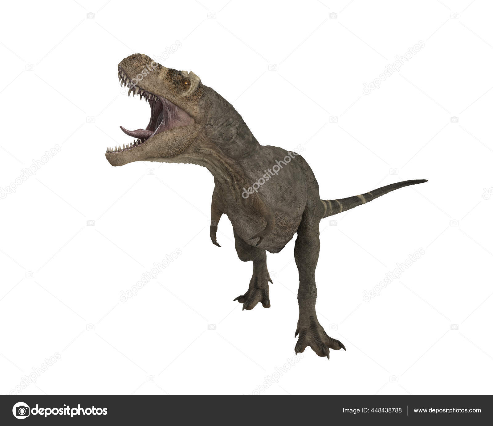STAN Tyrannosaurus rex® Skeleton – Display Replica – Black Hills Institute