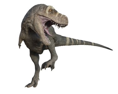 Ağzı açık saldıran bir Tyrannosaurus Rex 'in 3 boyutlu görüntüsü.
