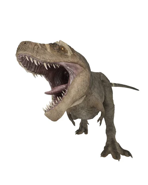 Render Tyrannosaurus Rex Mouth Open — Stock Photo, Image