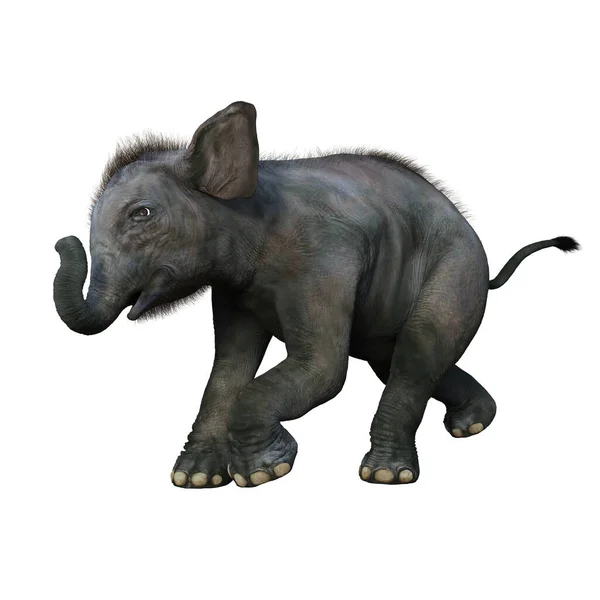 Bebê Elefante Indiano Pose Lúdica Render Isolado Fundo Branco — Fotografia de Stock