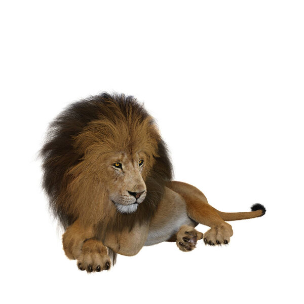 Lion standing and roaring. 3d render isolated on a white background. 3d render isolated on a white background.