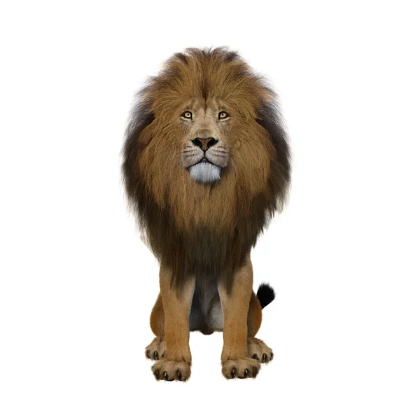 ライオンの直立し カメラをまっすぐに見て座っている 白い背景に隔離された3Dレンダリング — ストック写真