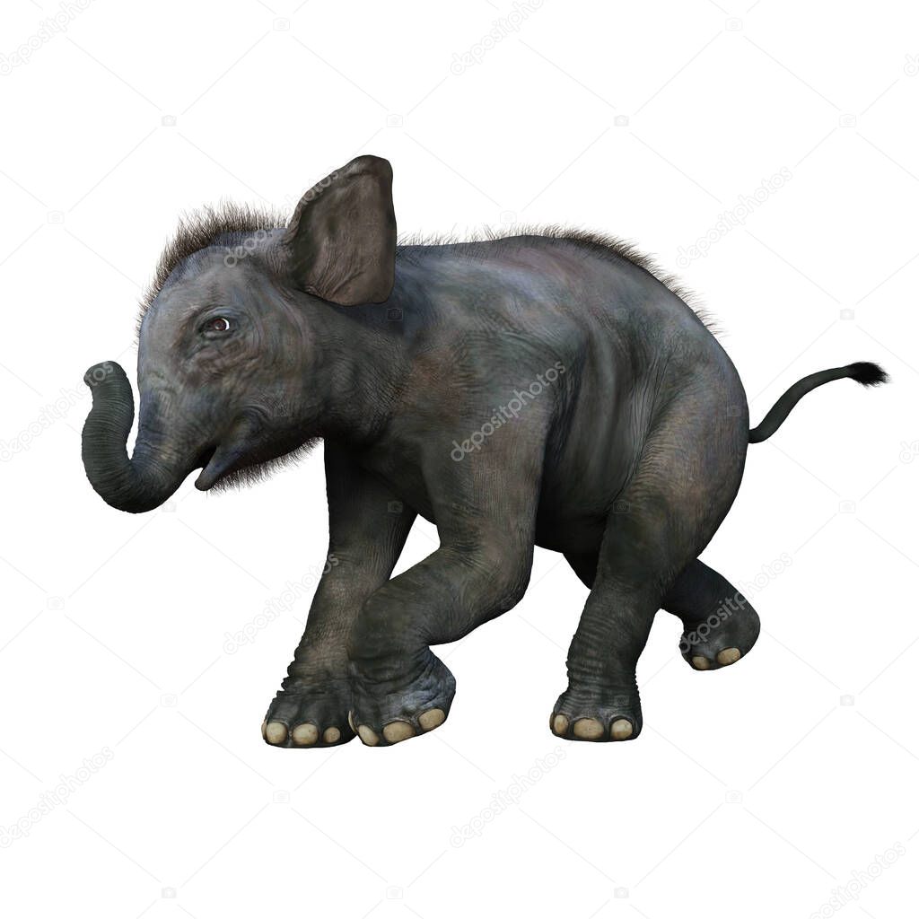 Baby Indian Elephant in playful pose. 3d render isolated on a white background.