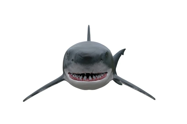 Great White Shark Mouth Open Coming Straight Camera Render Isolated — Stock Photo, Image