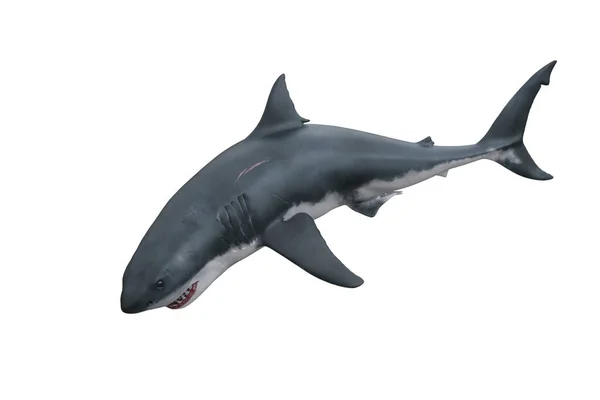 白い背景上に分離されて 3 D サメ ストック写真 C Ras Slava 白い背景上に分離されて 3 D サメ ストック写真 C Ras Slava