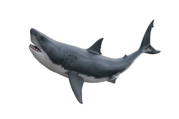 Great White Shark Attacking Seen Side View Render Isolated White — Stock Photo, Image