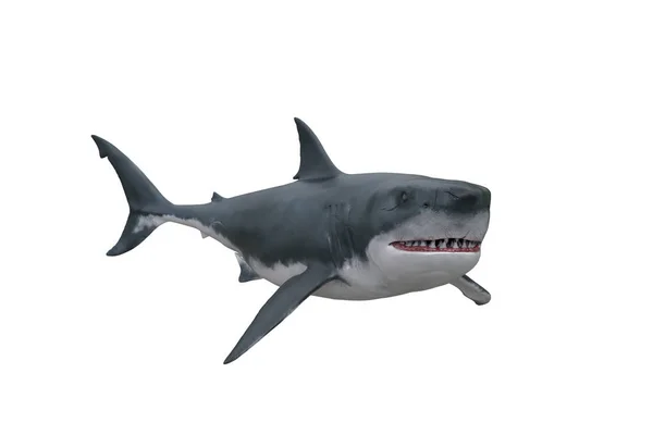 Great White Shark Swimming Showing Teeth Front Angled View Render — Stock Photo, Image