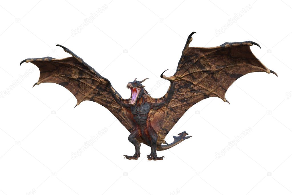 Wyvern or Dragon fantasy creature standing up with wings spread and mouth open, 3D illustration isolated on white.
