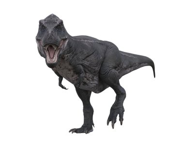 Tyrannosaurus Rex dinosuar kameraya doğru yürüyor. Beyaz arkaplanda 3 boyutlu resimleme izole edildi. 