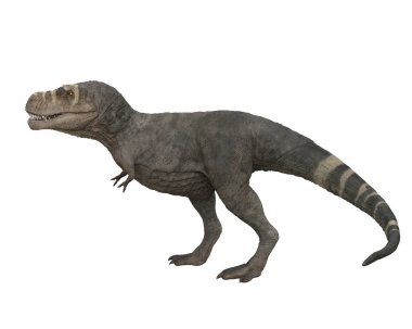Tyrannosaurus Rex dinozor yürüyüşü, yan görüş. Beyaz arkaplanda 3 boyutlu resimleme izole edildi. 