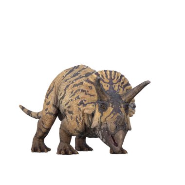 Triceratops dinozoru ağzı açık. Beyaz arkaplanda 3 boyutlu resimleme izole edildi.