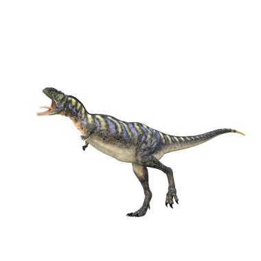 Ağzı açık bir Aucasaurus. Yaradılış döneminde Arjantin 'de yaşayan orta büyüklükte bir Theropod dinozoru. Beyaz arkaplanda 3 boyutlu resimleme izole edildi.