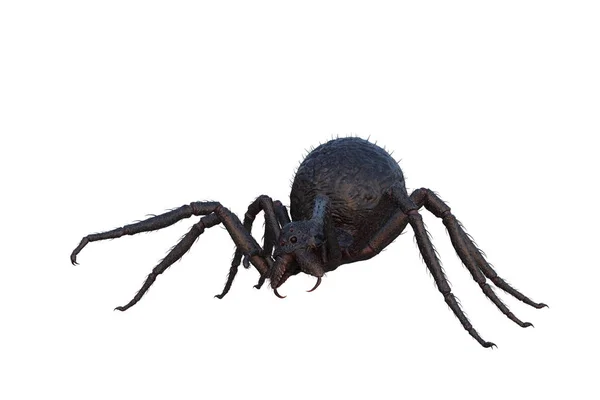 Monstruo Gigante Fantasía Spiderrecolied Listo Para Saltar Ilustración Aislada Sobre — Foto de Stock