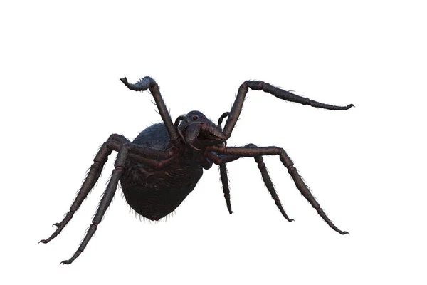巨大的幻想怪物蜘蛛在进攻的姿态 在白色背景上孤立的3D插图 — 图库照片