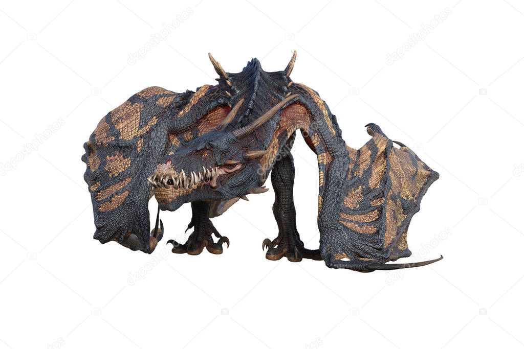 Wyvern or Dragon fantasy creature standing and staring with wings folded. 3D illustration isolated on white.