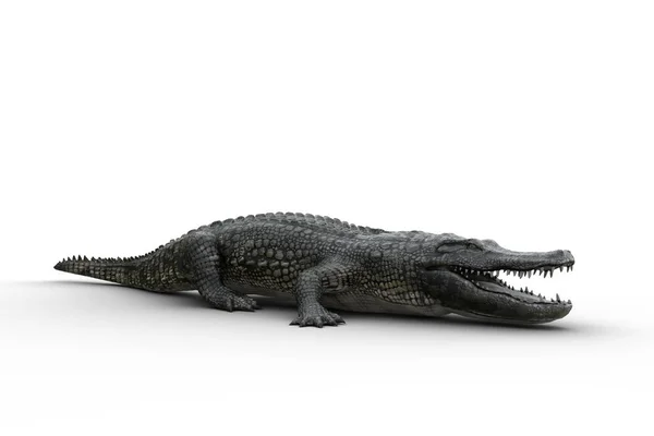 Alligator Debout Sur Terre Avec Les Mâchoires Ouvertes Illustration Isolée — Photo